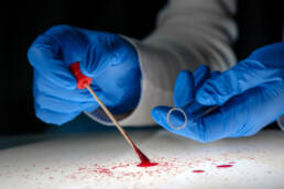 A close up of two hands wearing blue rubber gloves holds a swab and a test tube for a splatter of blood on the surface